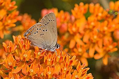 肉鸽生存冒险游戏《哈特纳之塔》公布 2022年发售 