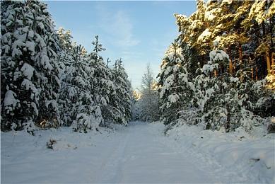 《纪元117：罗马和平》明年登陆主机和PC平台